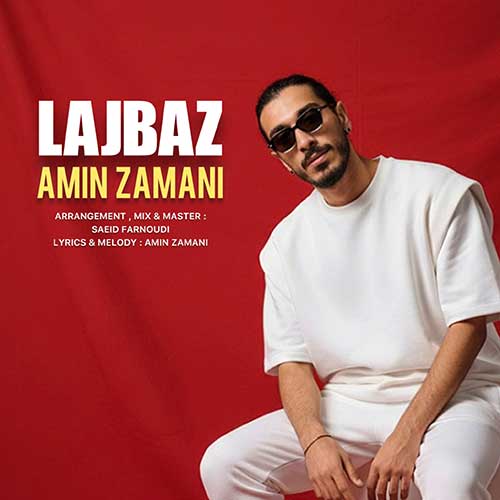 تک آهنگ امین زمانی به نام لجباز